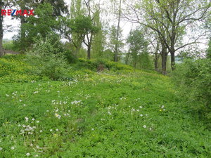 Prodej stavební parcely 1987 m² Záblatí