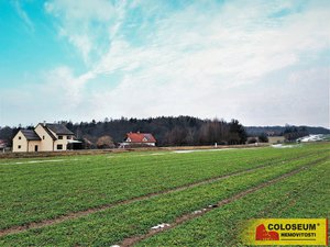 Prodej zemědělské půdy 1952 m² Bukovinka