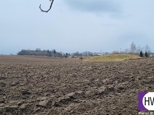 Prodej zemědělské půdy 14648 m² Číčovice