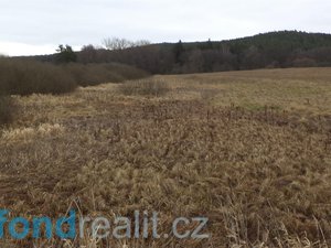 Prodej zemědělské půdy 13083 m² Stráž
