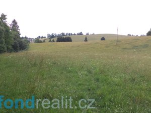 Prodej zemědělské půdy 10957 m² Staré Buky