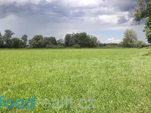 Prodej zemědělské půdy 15590 m² Ostrava