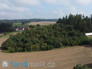 Prodej lesa 10063 m² Ratiboř