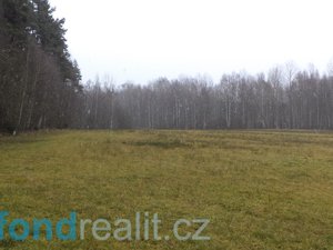 Prodej zemědělské půdy 22308 m² Horní Planá