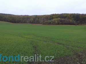 Prodej zemědělské půdy 21433 m² Kyjov