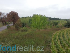 Prodej ostatních pozemků 12858 m² Smiřice