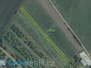 Prodej zemědělské půdy 1382 m² Strachotín