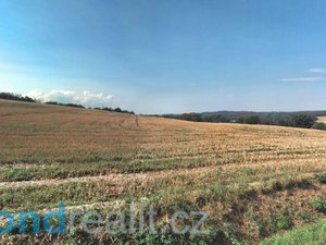 Prodej zemědělské půdy 35843 m² Brumovice