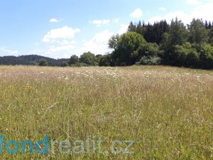 Prodej zemědělské půdy 13471 m² Přídolí