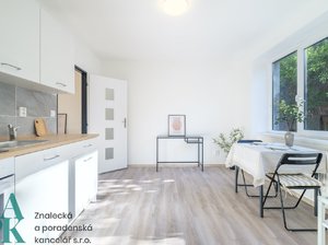 Pronájem bytu 1+1 38 m² Ústí nad Labem