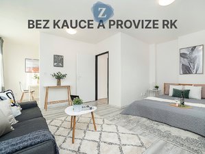 Pronájem bytu 1+kk, garsoniery 33 m² Ústí nad Labem
