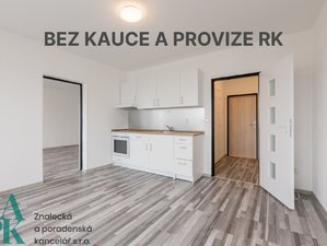 Pronájem bytu 2+kk 47 m² Ústí nad Labem