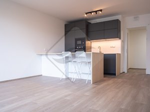 Pronájem bytu 2+kk 56 m² Praha