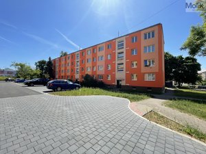 Pronájem bytu 3+1 65 m² Litvínov