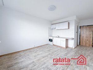 Pronájem bytu 1+1 33 m² Jirkov