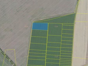Prodej zemědělské půdy 9764 m² Klecany