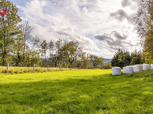 Prodej stavební parcely 1135 m² Žandov