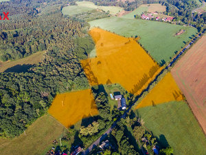 Prodej louky 101056 m² Zákupy