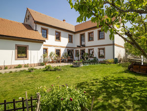 Prodej rodinného domu 413 m² Stehelčeves