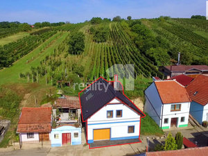 Prodej zemědělské usedlosti 183 m² Bořetice