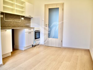 Pronájem bytu 1+1 44 m² Plzeň