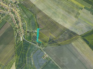 Dražba podílu zemědělské půdy 9359 m² Krumvíř
