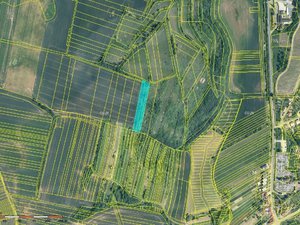 Dražba podílu zemědělské půdy 2393 m² Skalka
