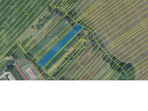 Prodej zemědělské půdy 2486 m² Traplice