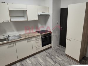 Pronájem bytu 2+1 55 m² Srnín