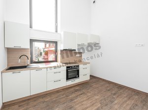 Pronájem bytu 1+1 44 m² Benešov