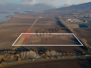 Prodej zemědělské půdy 62431 m² Pasohlávky