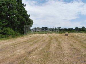 Prodej zemědělské půdy 2607 m² Třebechovice pod Orebem