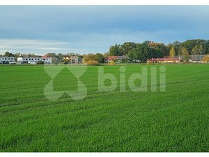 Prodej zemědělské půdy 4856 m² Starý Mateřov