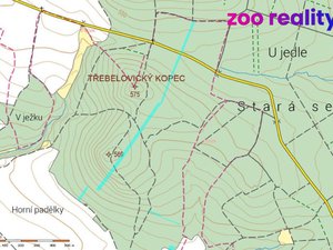 Prodej lesa 20762 m² Třebelovice