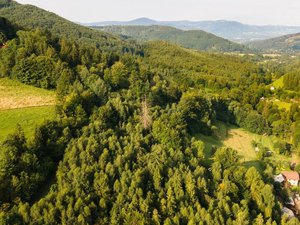 Prodej lesa 20558 m² Nýdek