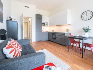 Pronájem bytu 5+1 a více 33 m² Brno