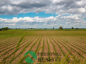 Prodej zemědělské půdy 32894 m² Seč