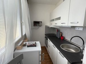 Prodej bytu 1+kk, garsoniery 29 m² Bělá pod Bezdězem
