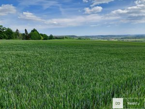 Prodej zemědělské půdy 19959 m² Bílé Poličany