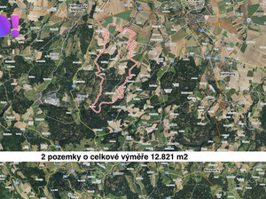 Prodej zemědělské půdy 12821 m² Morašice