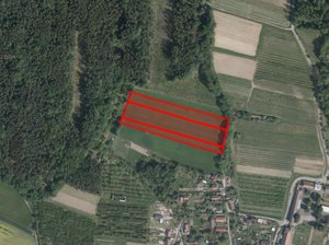 Prodej zemědělské půdy 20677 m² Holovousy