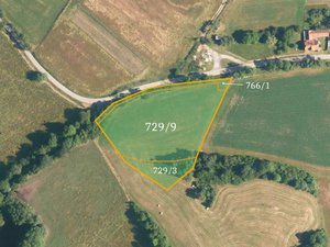 Prodej zemědělské půdy 30881 m² Nová Ves