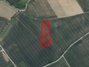 Prodej zemědělské půdy 15642 m² Jasenice