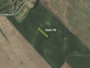 Prodej zemědělské půdy 1437 m² Čejkovice