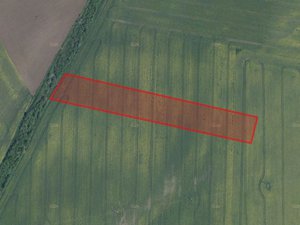 Prodej zemědělské půdy 13729 m² Býkev