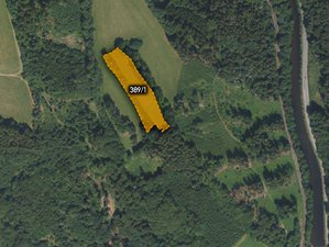 Prodej zemědělské půdy 7401 m² Víchová nad Jizerou