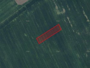 Prodej zemědělské půdy 2701 m² Býkev