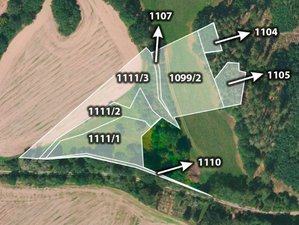 Prodej zemědělské půdy 13296 m² Slatina