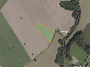 Prodej zemědělské půdy 15502 m² Stará Ves nad Ondřejnicí