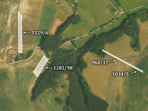 Prodej zemědělské půdy 12832 m² Kaňovice